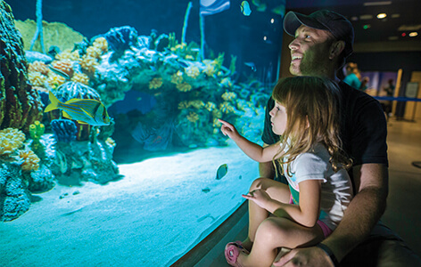 Dad holds daughter while they look at fish through aquarium glass