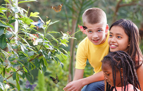 3 children look at a butterfly on a flower at Pal Place butterfly wonderland
