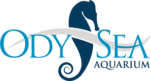 OdySea aquarium logo