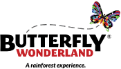 butterfly wonderland logo